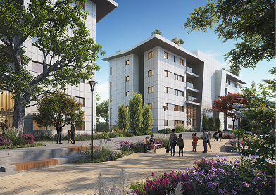 Property 1=Frame 3 (1)